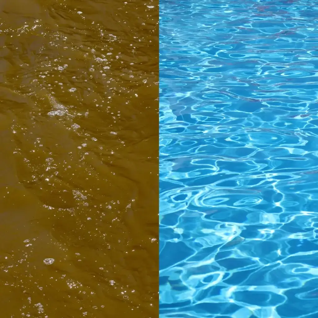Dirty vs Clean Water Comparison
| Importance of Water Quality